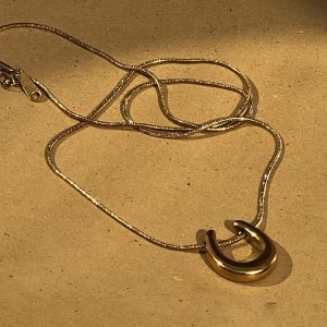 Stainless Steel  Gold-Tone Simple Horse Hoof & Snake Chain Necklace